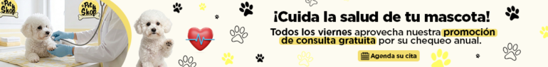 consultorio veterinario en miraflores lima peru