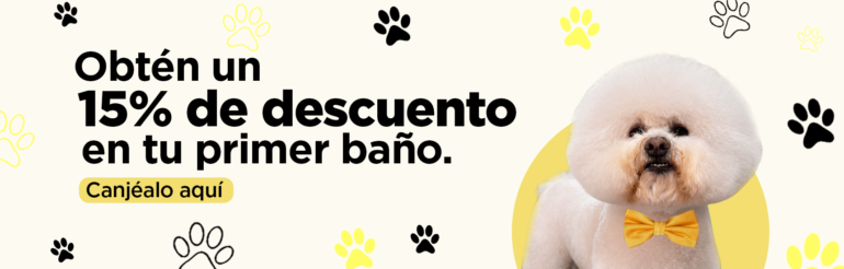 baños para perros en miraflores
